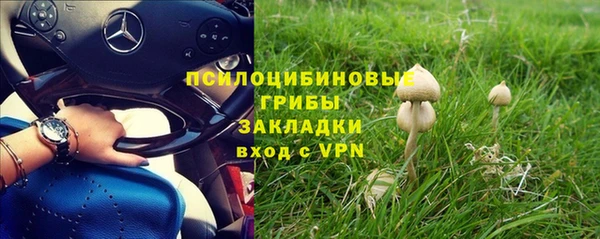 стафф Алексеевка