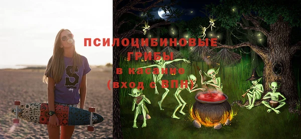 стафф Алексеевка