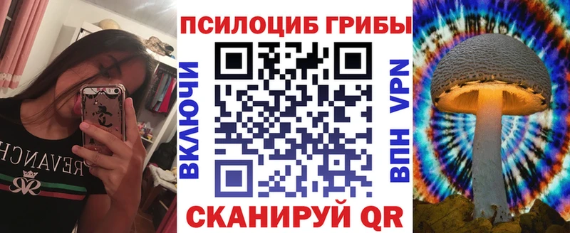 Псилоцибиновые грибы Psilocybe  Чаплыгин 